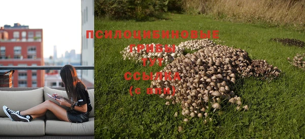 не бодяженный Бородино