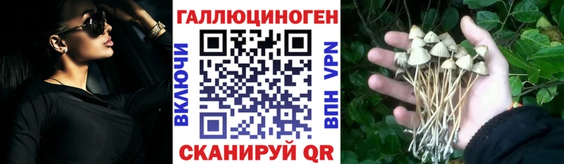 Купить где  Камышлов  Галлюциногенные грибы GOLDEN TEACHER 